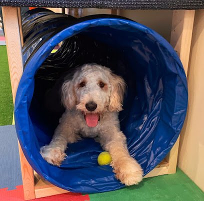 Awesome Paws Dog Training Services