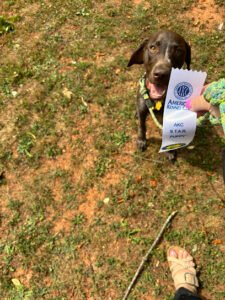 Professional Canine Services Inc.