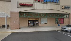 PetSmart Dog Training
