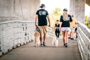 Dog Dudes K9 Training