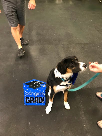 WOOFS! Dog Training Center