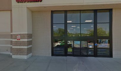 PetSmart Dog Training