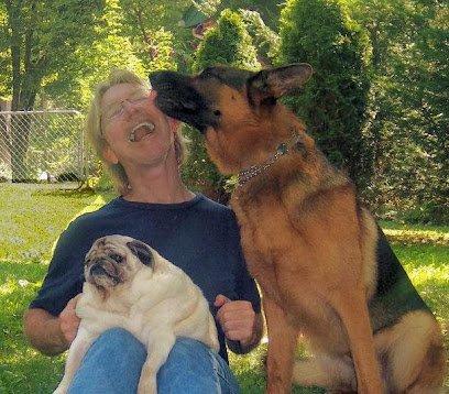 Exceptional Dog Training