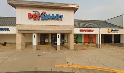 PetSmart Dog Training
