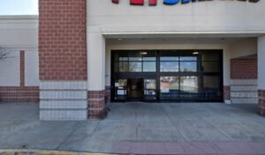 PetSmart Dog Training