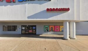 PetSmart Dog Training