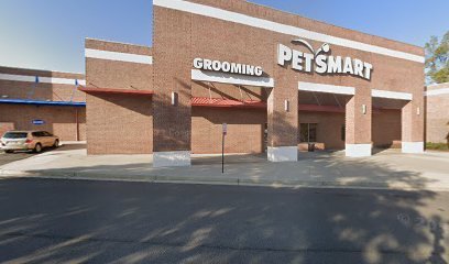 PetSmart Dog Training