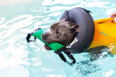 Fido Physio