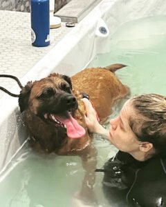 Waterdog Spa