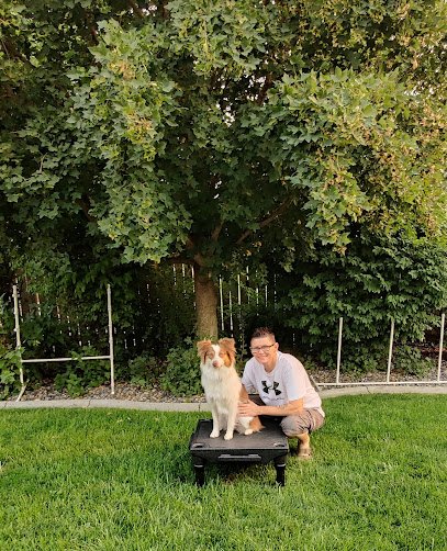 The Doghouse Dog Training