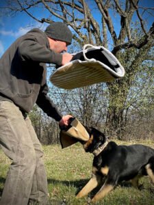 Insight K-9 Solutions LLC