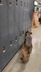 My 2 Scents K9, LLC