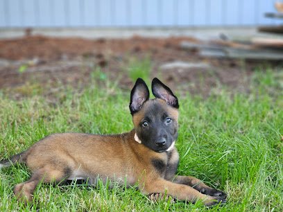 Ruff World Training