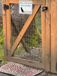 Dacia‚Äôs Dog Training