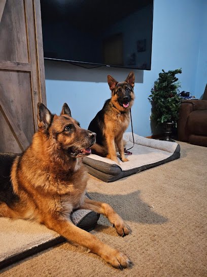 Audax K9 Academy