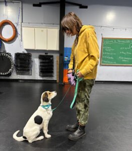 High Expectations Dog Training