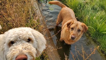 Waggin Tails Ranch
