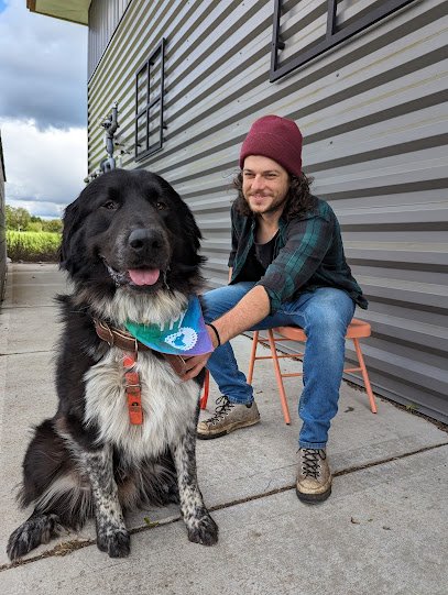 Happy Dog Institute