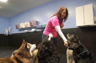 Tails A Wagging Doggie daycare & canine training center