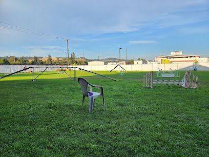 Spokane Dog Training Club Inc