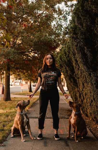 Three Six Canine