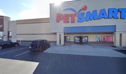 PetSmart Dog Training