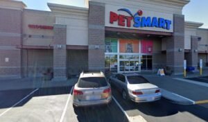 PetSmart Dog Training