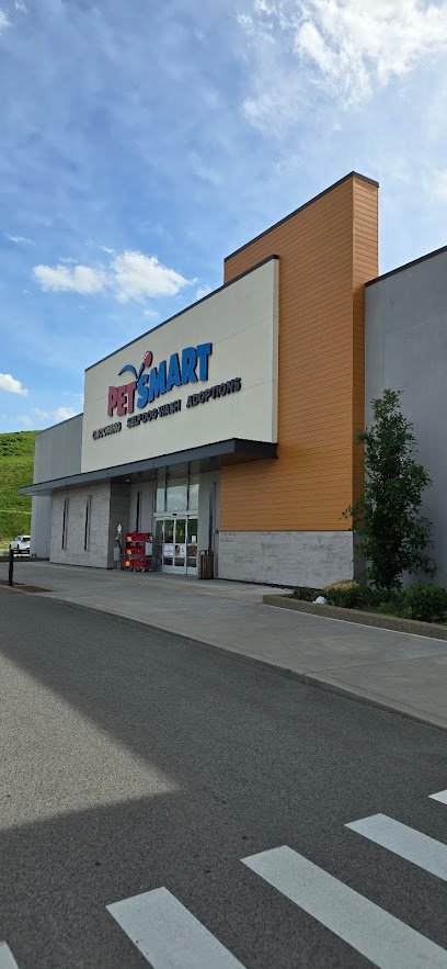 PetSmart Dog Training