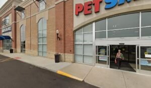 PetSmart Dog Training