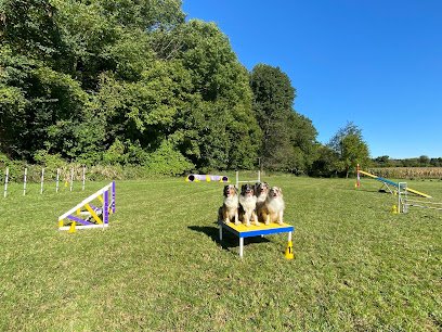 Celtic K9 Academy, LLC