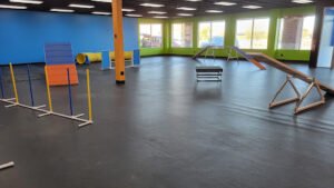 Ideal DOG LLC Training Facility