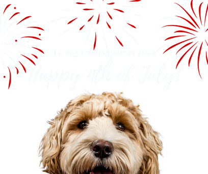 T.L.C Dog Training With Love By Carol