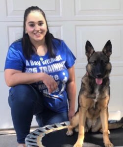 Learn and Lead Dog Training