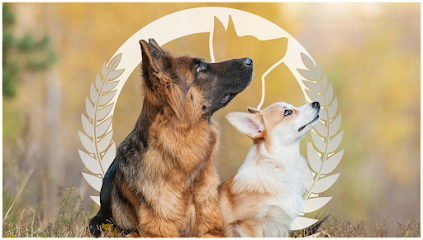 Dog Training Elite Milwaukee