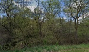 Wind River Kennel