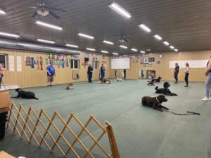 Overdale Kennel, LLC