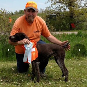 Captains Kennels