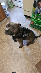 Jessiffany Canine Services, LLC