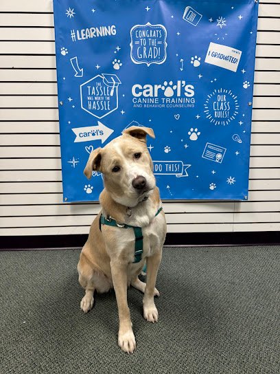 Carol’s Canine Training and Behavior Counseling, LLC