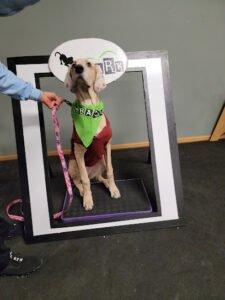 emBARK