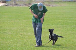 Salamone Kennels