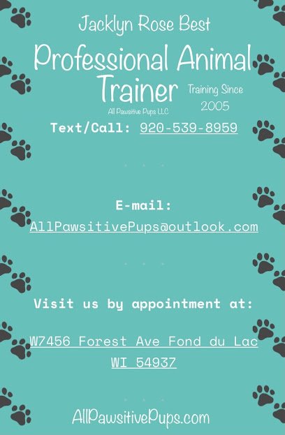 All Pawsitive Pups LLC