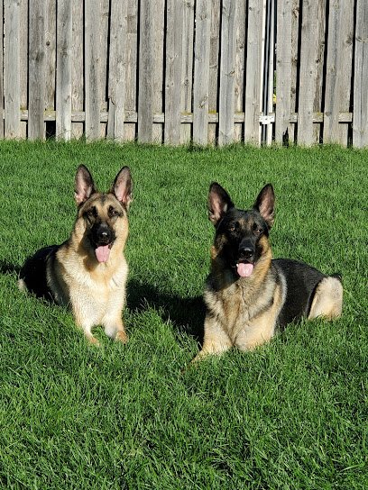 Sit Happens Dog Training LLC