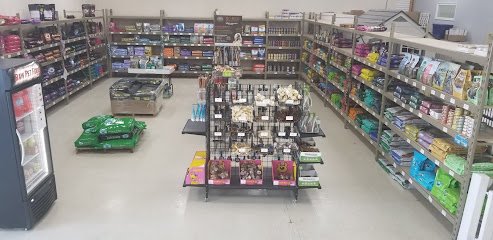 Clever K9s