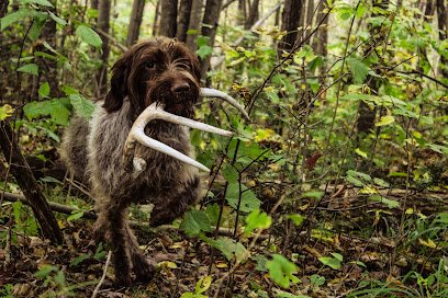 Northwoods Training Kennel LLC