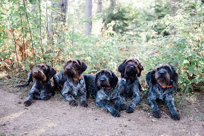 Vom Brewhaus Kennel, LLC