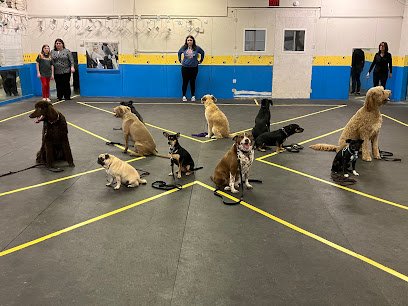Kenosha Kennel Club