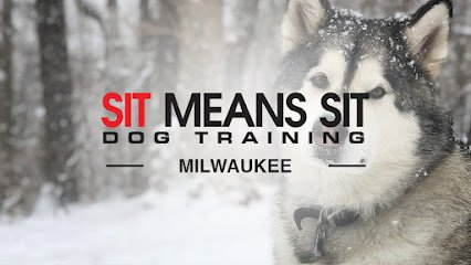 Sit Means Sit Dog Training Milwaukee