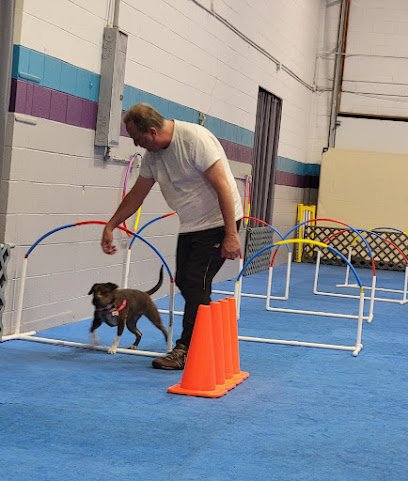 Agility Possibilities