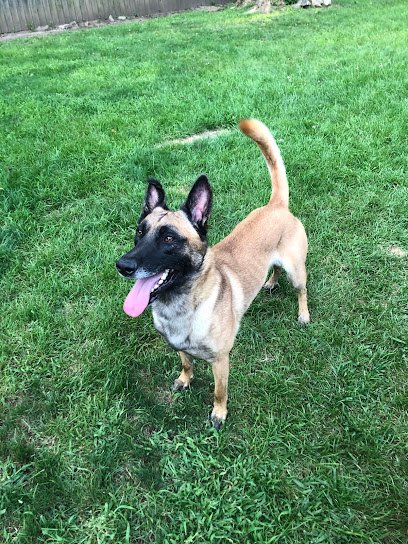 Canine Coach and Wellness, LLC